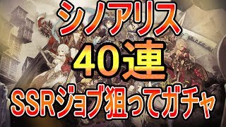 【シノアリス】怒涛の40連ガチャでSSRジョブ解放！！！『メンテ終わったらマジで神ゲーだったｗｗ』