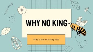 Why Is There Not KING Bee?
