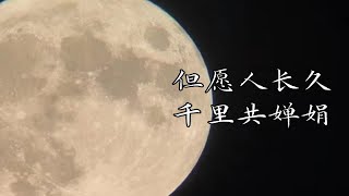 大家快来云赏月啦~