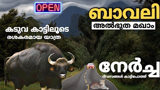 കടുവയും,കാട്ടുപോത്തും,പുലിയുമുള്ള കൊടും കാട്ടിലൂടെ ഒരു യാത്രാ | വയനാട് കർണാടക  മഖാം Karnadaka Border