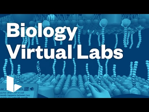 Labster virtual biology laboratories