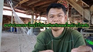 แนะนำวิธีทำครืนนกเขาใหญ่สไตล์บ่าวไก่ไว้ใช้เองครับผม