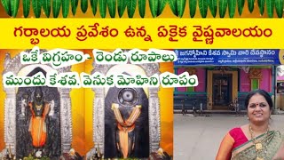 ర్యాలి జగన్మోహిని కేశవ దేవాలయం - రహస్యం | temple vlog | #devotional #ytshorts