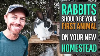 6 Reasons Why Rabbits Should be the FIRST Animal On Your Homestead