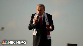 Erdogan slams Israel as ‘war criminal’ at pro-Palestinian rally