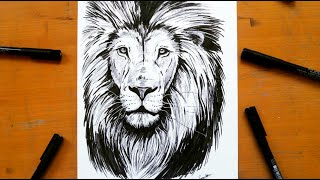Drawing a lion with black fineliners only! | Leontine van vliet