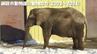 釧路市動物園の動物たち（2003 - 2004）