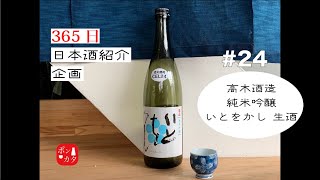 その日本酒は偶然から生まれた！？綺麗な甘さと酸味で、パイナップルのようなお酒【365日ぶっ通しで日本酒紹介企画】#24 ~純米吟醸 いとをかし 生酒~ 高木酒造より