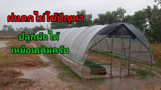 ฝนตกวันแรกของปี 29มีนาคม2566 ไม่ใช่ปัญหาปลูกผักทำงานได้สบาย/เต๋าสายกลาง