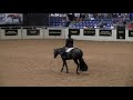 kiss my cookies u0026 shannon gillespie 2019 nsba world championship show