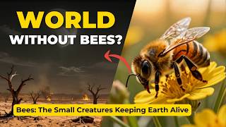 What If ALL The Bees In The World DISAPPEARED? World Bee Day 2026 #worldbeeday #bees #savethebees