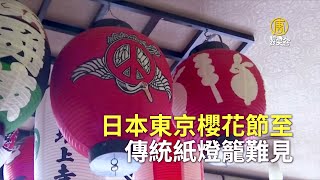 日本東京櫻花節至 傳統紙燈籠難見｜武漢肺炎｜日本旅遊