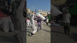 #masifbabo #pakpattan #hardwork #foryou #❣️❣️ #viral #tiktokvideo #asif #babo #//