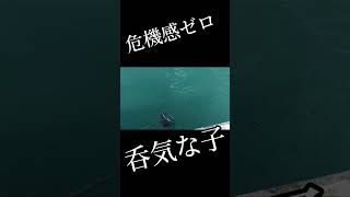 【函館釣り】こんな事ある？