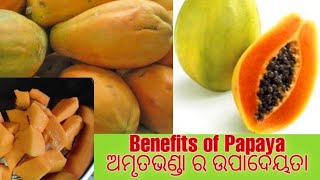 ଅମୃତଭଣ୍ଡା ର ଖାଦ୍ୟ ଗୁଣ /Benefits of ripe Papaya/Healthy ପାଚିଲା ଅମୃତଭଣ୍ଡା #Immunity booster.