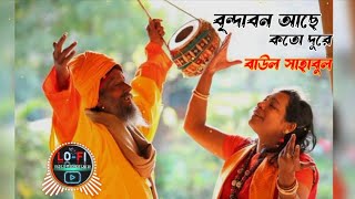 বৃন্দাবন আছে কতো দূরে /baul sahabul/lalon giti song/Brindabon ache koto Dure