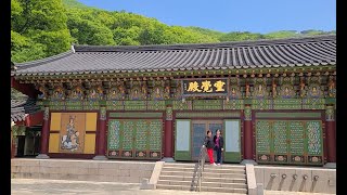 인생이 긴것 같아도 지나고 보면 허무한 것인데..사광선산 령길부 길년.령관전이란 곳에 계신 그분.