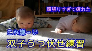 【うつ伏せ練習】生後3ヶ月(97日)今日はすごい頑張ってると思ったら。。。男女双子赤ちゃん mix twins exercise face down