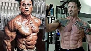 Bodybuilding Motivation 2018 HD - Sylvester stallone & Arnold schwarzenegger