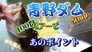 【青野ダム】バス釣り50up【セリア100均ルアー】検索用【ダイソールアー】[Bass Fishing 50up] Aono Dam [Seria 100 Yen Lure] Search