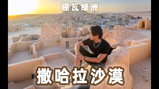 撒哈拉沙漠深處的祕境—沙利古堡 ｜The secret place deep in the Sahara Desert - Salih Castle