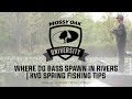 Where Do Bass Spawn In Rivers | KVD Spring Fishing Tips