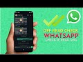 How to disable read receipts (blue ticks) on WhatsApp
