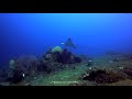 Diving in Bunutan with Abyss Dive Center Bali Indonesia