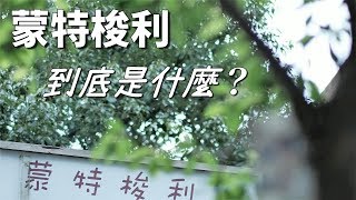 蒙特梭利教育法簡介【選幼兒園必看】