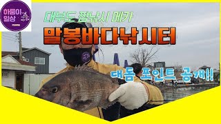 대부도 말봉바다낚시터 대돔 포인트자리 공개!!(sea fishing)