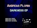 andreas florin just techno