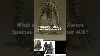 What are the Xenos known as Hrud in Warhammer 40k?