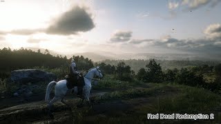 《 荒野大镖客:救赎2 | Red Dead Redemption 2 》日常 风景