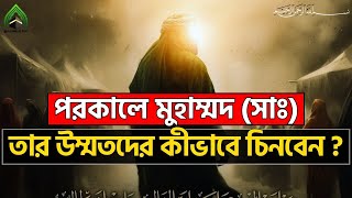 পরকালে মুহাম্মদ (সাঃ) তার উম্মতদের কীভাবে চিনবেন ? l মুহাম্মদ (সাঃ) এর উম্মত।