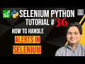 Selenium Python Tutorial #36 - How to handle Alerts in Selenium Python