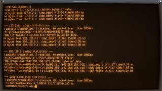 Python ASMR - Ping Multiple IPs from List with N number of Packets - No Talking