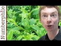 Primes are like Weeds (PNT) - Numberphile