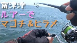 ボートルアーでヒラメ・マゴチ・シーバス釣り【東京湾富津沖】