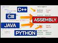 Object-Oriented Programming in Assembly Explained | Vtables, Polymorphism | Python, Java, C++, C#