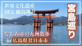 【中国地方神社】今回、初めて宮島を巡りました。鹿と遭遇、世界文化遺産の厳島神社、巳年に縁があるお寺。豊臣秀吉が建立中に中断された神社、絶品揚げもみじなど。ここにしかない魅力いっぱいの宮島日帰り旅。