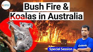 Bush Fire & Koalas in Australia | What You Need to Know About Bushfire Emergency For UPSC