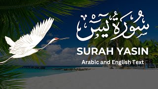 Surah yaseen with arabic text English text | سورة يس كاملة | Islamic Echos