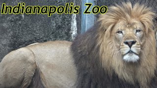 Indianapolis Zoo Tour \u0026 Review with The Legend