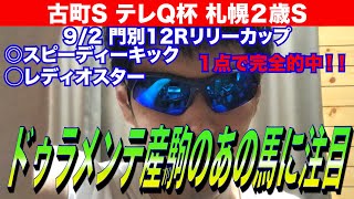 【古町ステークス2021 テレQ杯2021 札幌２歳ステークス2021】札幌２歳ステークスは、ドゥラメンテ産駒に注目です！！【競馬予想】