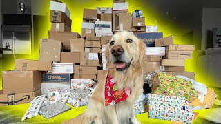 DOG GETS OVER 150 PRESENTS FOR CHRISTMAS!