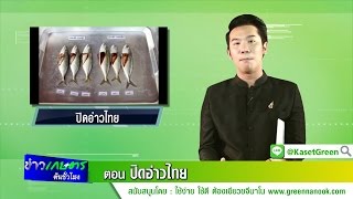 ข่าวเกษตรต้นชั่วโมง ตอน ปิดอ่าวไทย