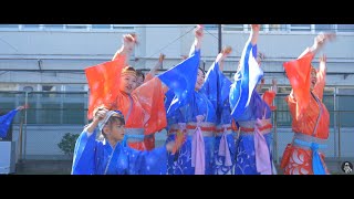 妃龍  2019町田夢舞生ッスイ祭