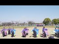 4k よさこい踊り屋『菊頭』　堺よさこいかえる祭り 2024 水賀池公園会場