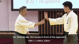 Tadayuki Satoh Shihan's Tomiki Aikido Workshop (8/9) – The ideal of Toshu-Randori and Tantou-Randori