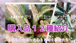 🌹【真冬に出会った素敵過ぎる植物たち　】出会いに感謝🙏✨